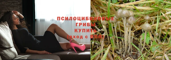 МДМА Алексеевка